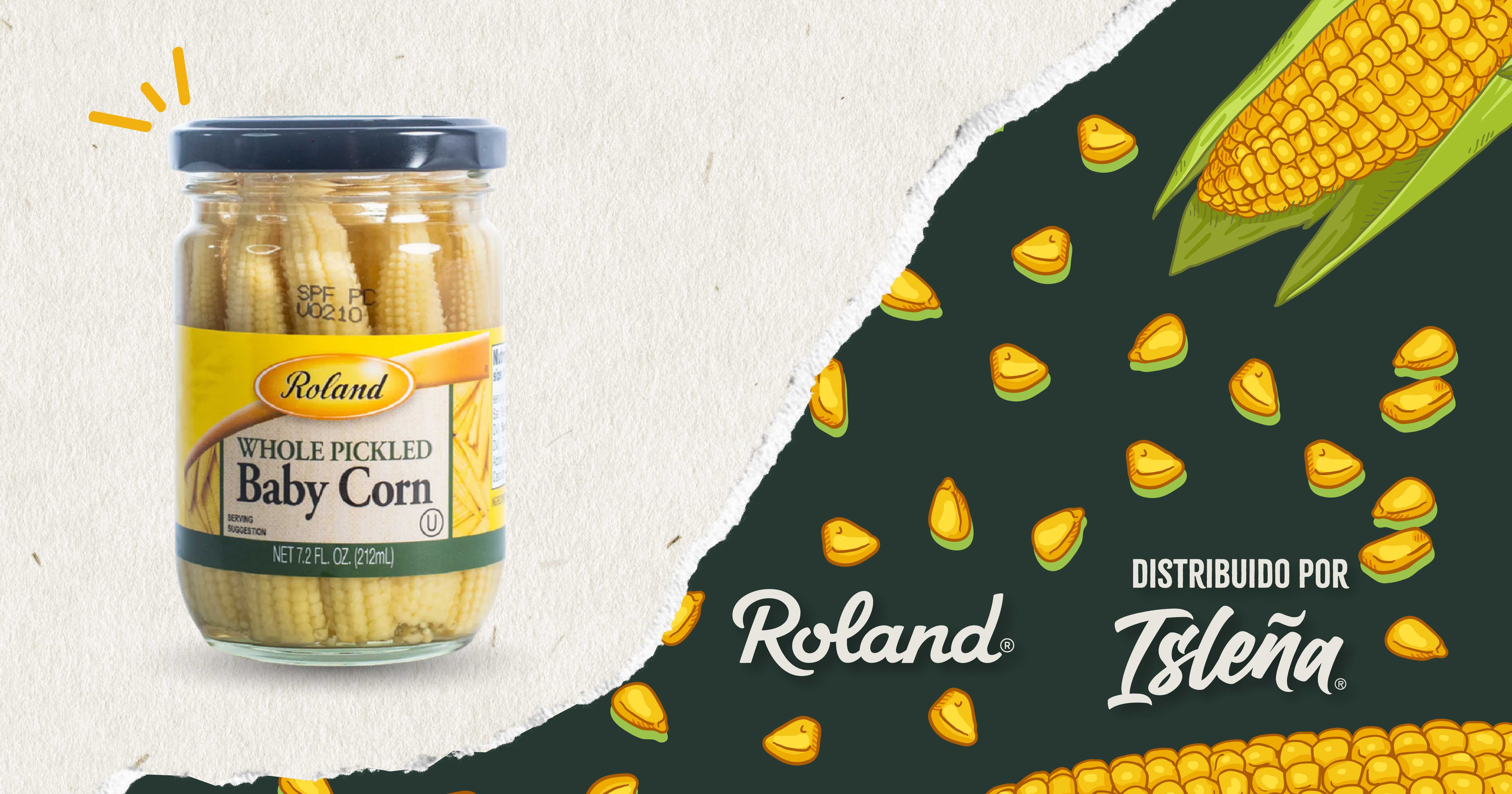 Watch misni sdedn nises